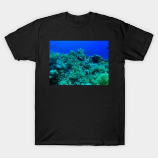 Coral reef with fishes T-Shirt